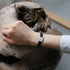 OMEGA/KS-672